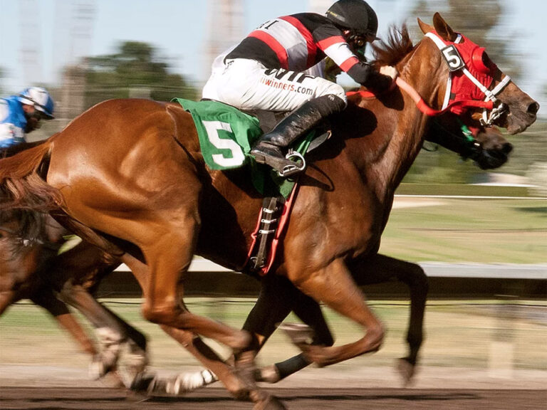 Off Track Betting  California Racing Fairs