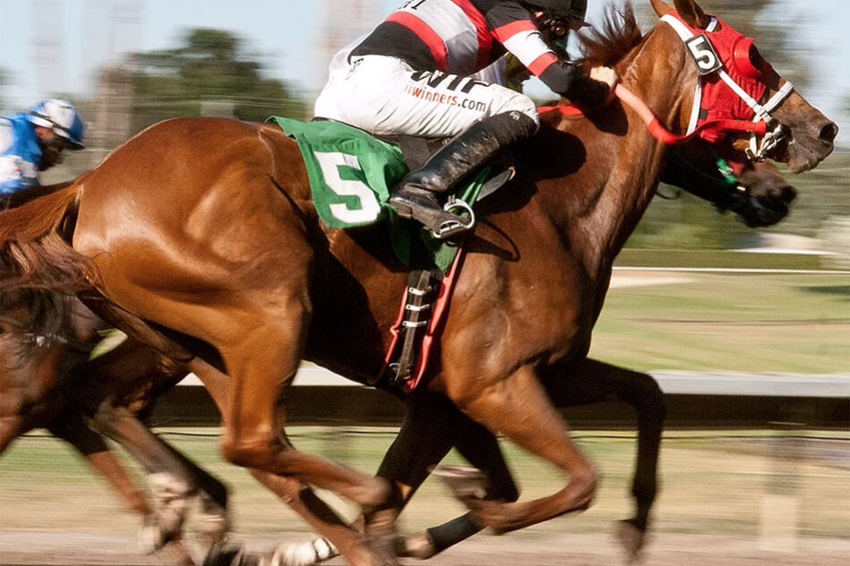 Pleasanton, CA  California Racing Fairs